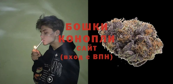 МДПВ Алексеевка