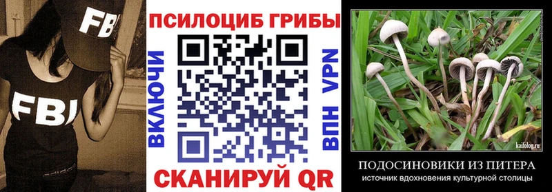 Галлюциногенные грибы мицелий  купить наркоту  Сухиничи 